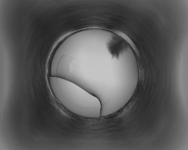 X0000086911051200704161005