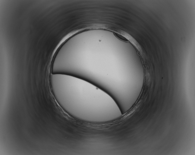 X0000086911052200704161005