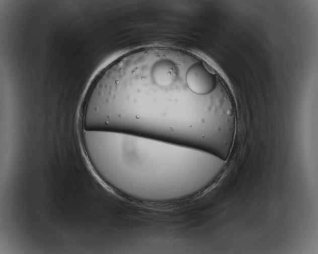 X0000086911053200704161005