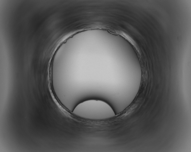 X0000086911055200704161005