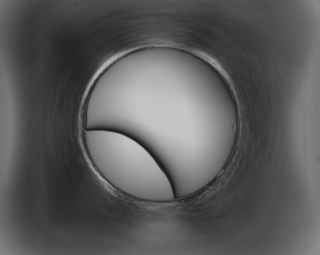 X0000086911056200704161005