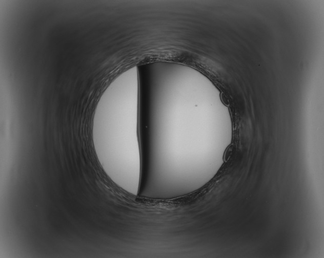 X0000086911058200704161004