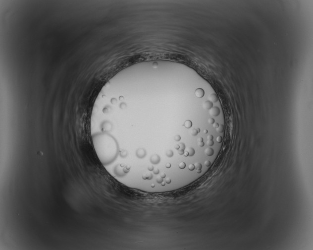 X0000086911059200704161004