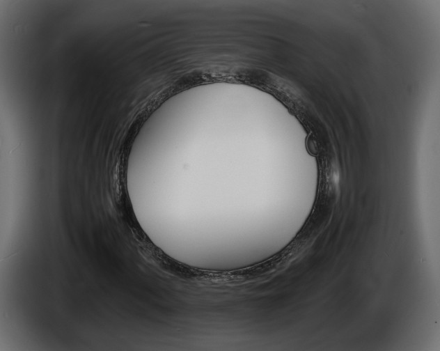 X0000086911060200704161004
