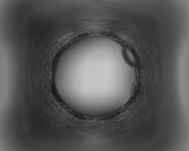 X0000086911061200704161004