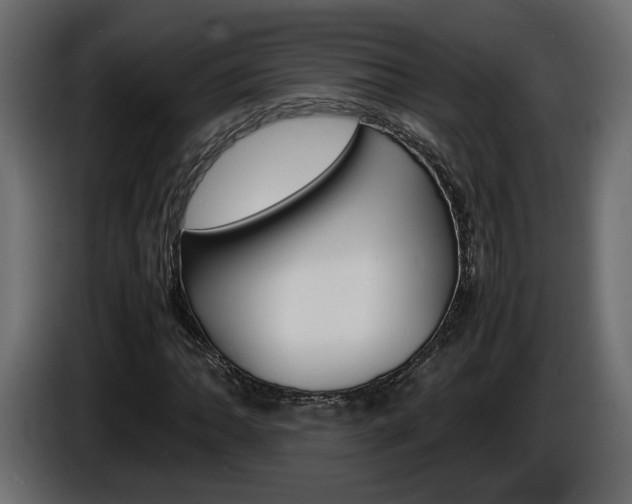 X0000086911062200704161004
