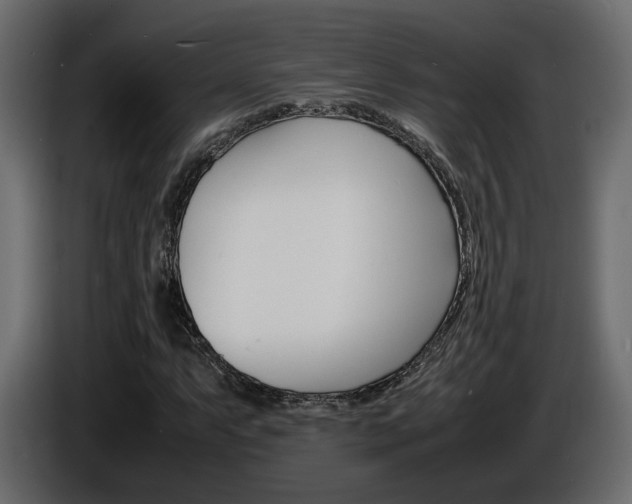X0000086911063200704161004