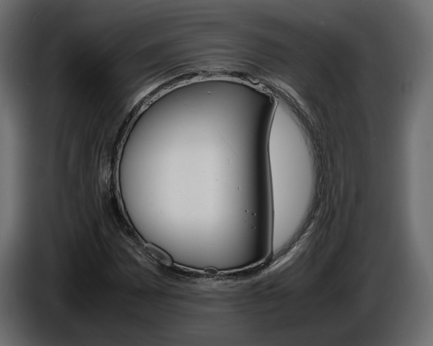 X0000086911065200704161004