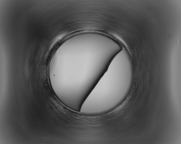 X0000086911067200704161004
