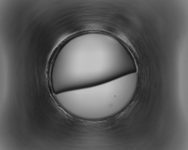 X0000086911068200704161004