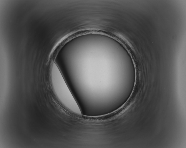 X0000086911069200704161004