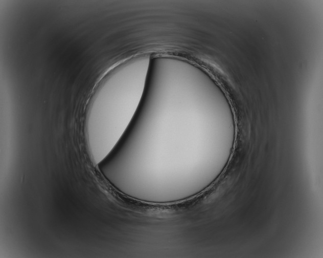 X0000086911073200704161004