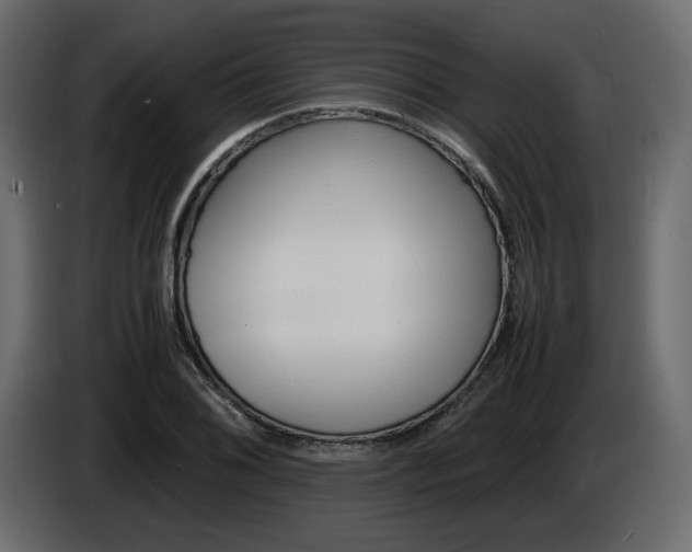 X0000086911076200704161004
