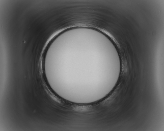 X0000086911078200704161004