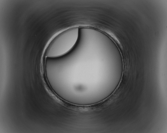 X0000086911080200704161004