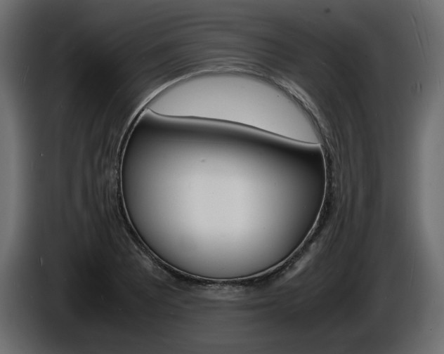 X0000086911081200704161004