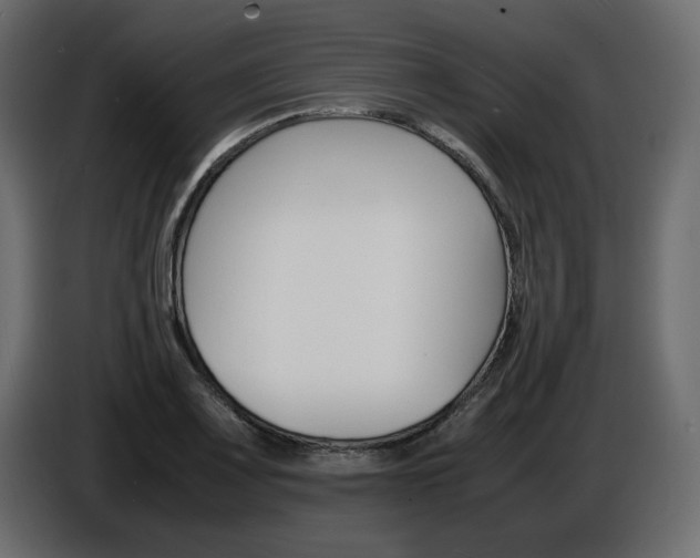 X0000086911083200704161004