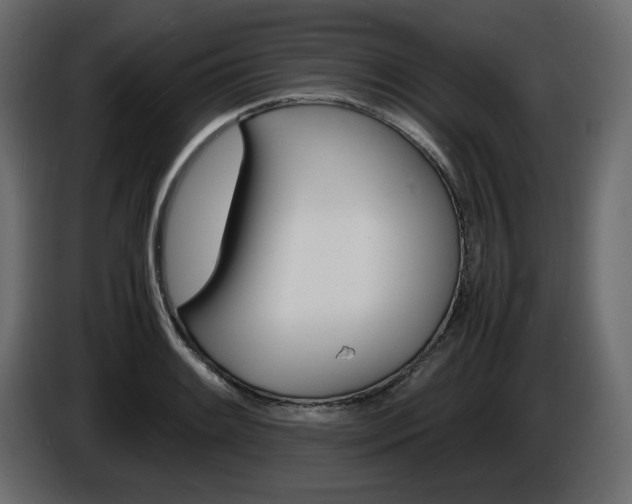 X0000086911084200704161004