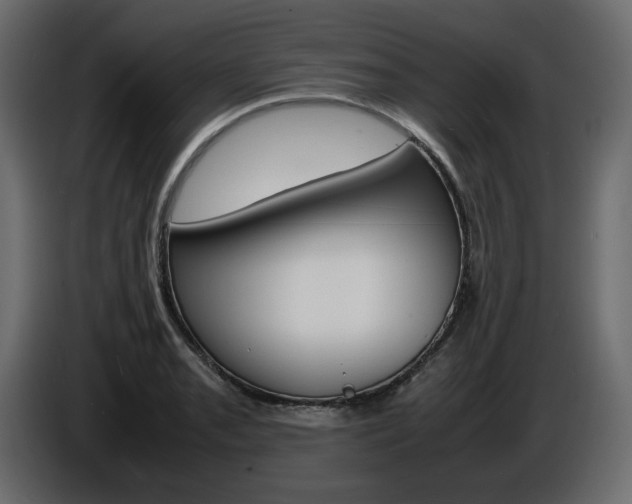 X0000086911085200704161004