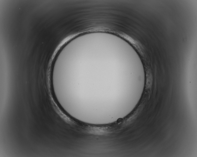 X0000086911086200704161004