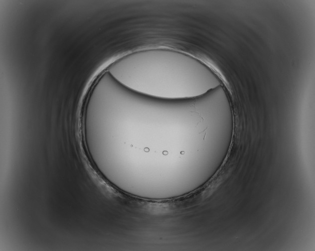 X0000086911088200704161004