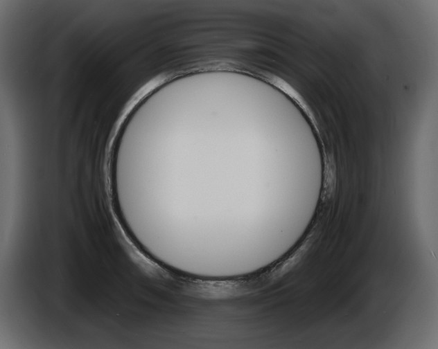 X0000086911090200704161004