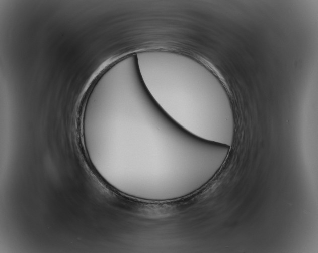 X0000086911091200704161004