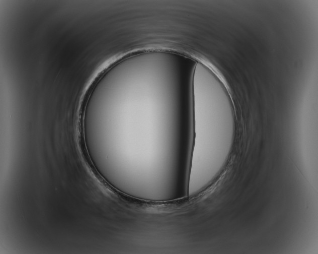 X0000086911093200704161004