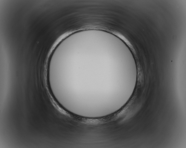 X0000086911094200704161004
