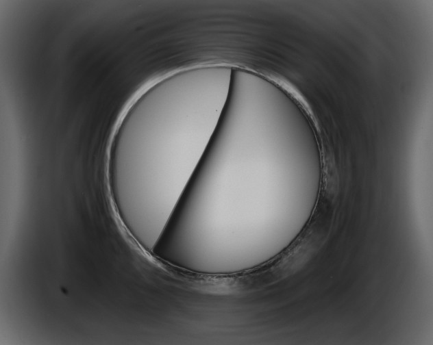 X0000086911096200704161003