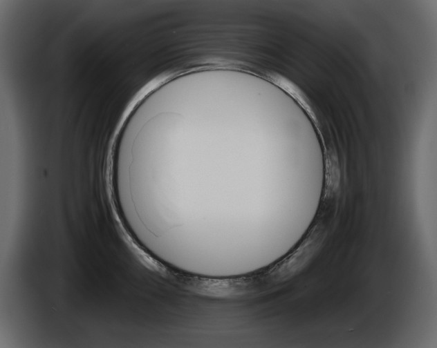 X0000086911098200704161003