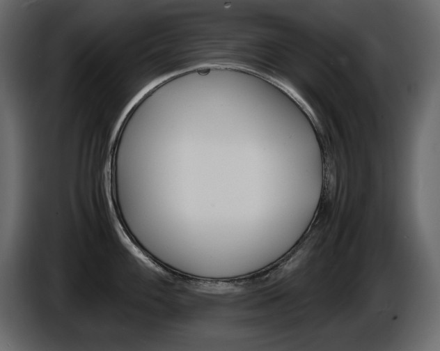 X0000086911100200704161003