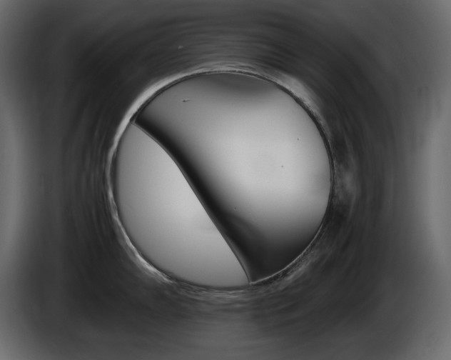 X0000086911102200704161003