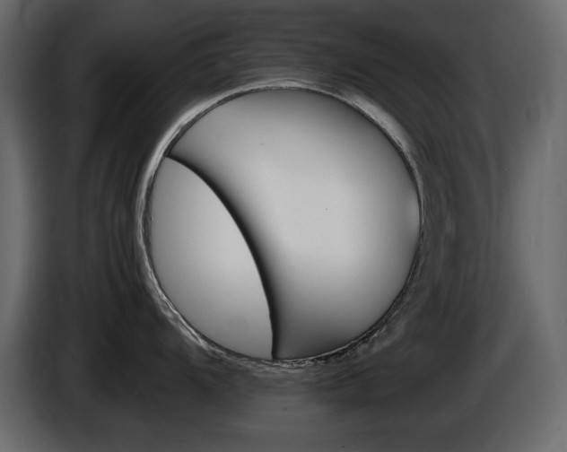 X0000086911104200704161003