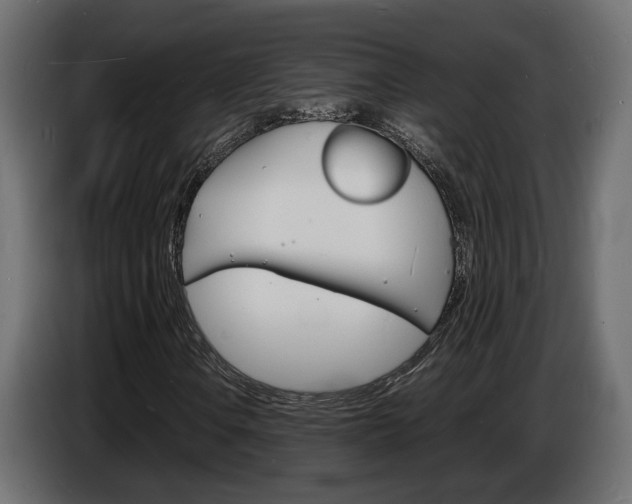 X0000086911106200704161003
