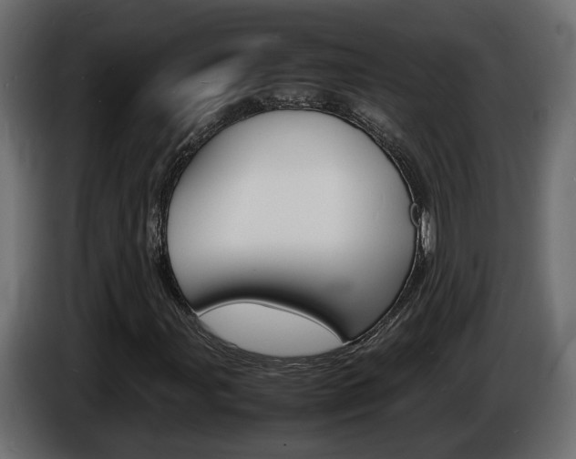 X0000086911107200704161003