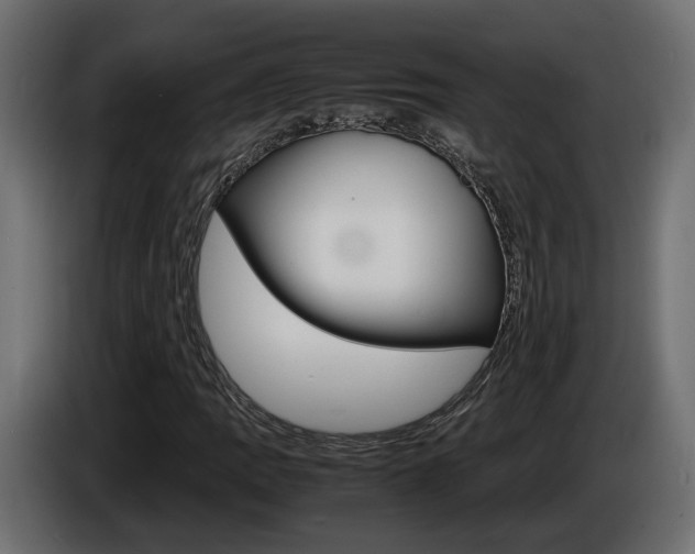 X0000086911109200704161003