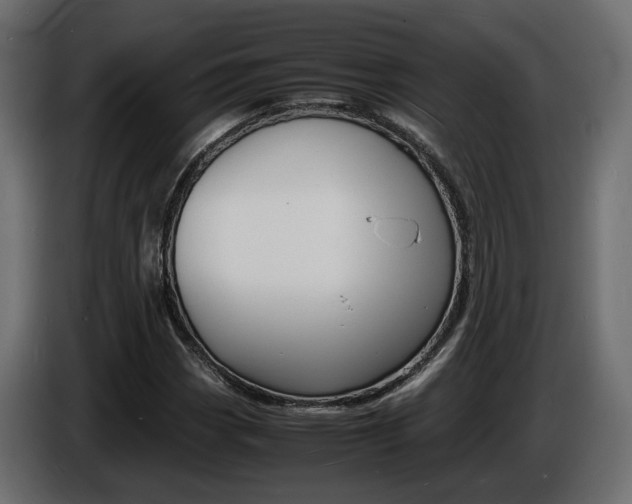 X0000086911113200704161003
