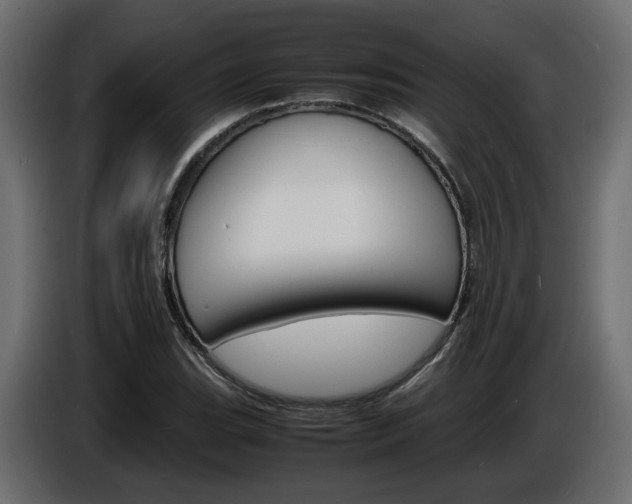 X0000086911119200704161003
