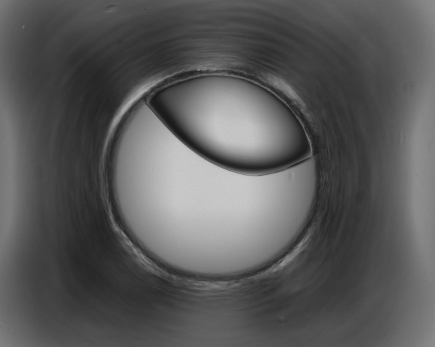 X0000086911122200704161003