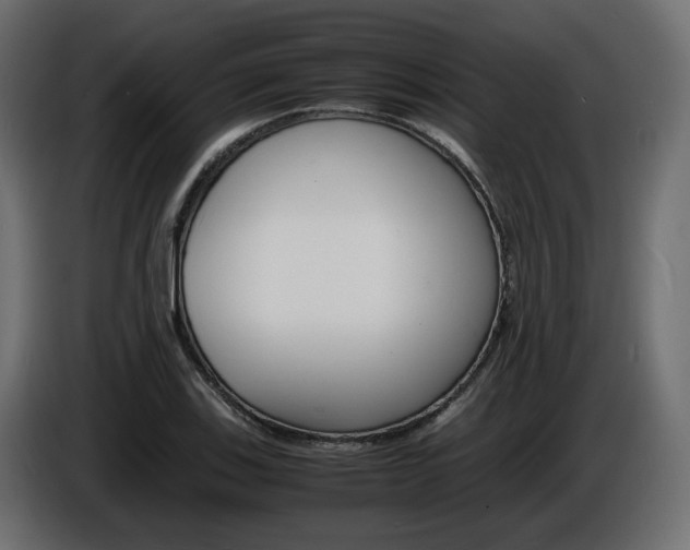 X0000086911123200704161003