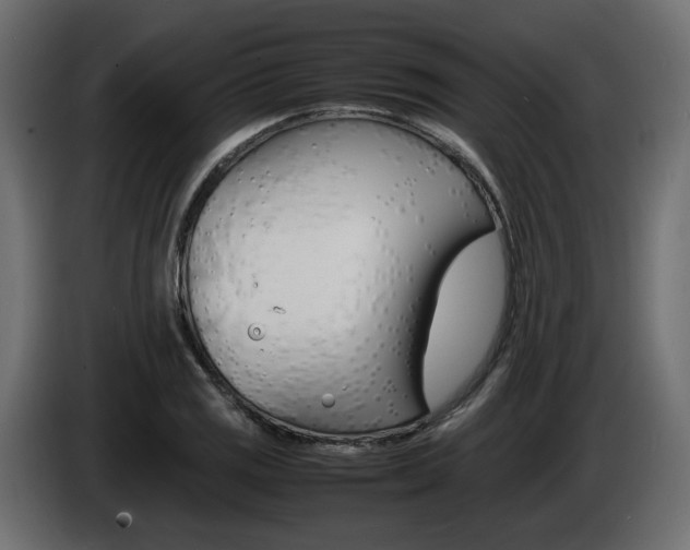 X0000086911125200704161003