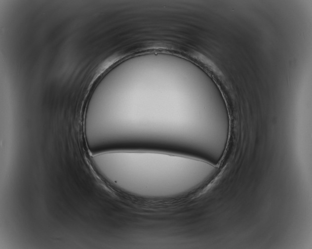 X0000086911129200704161003