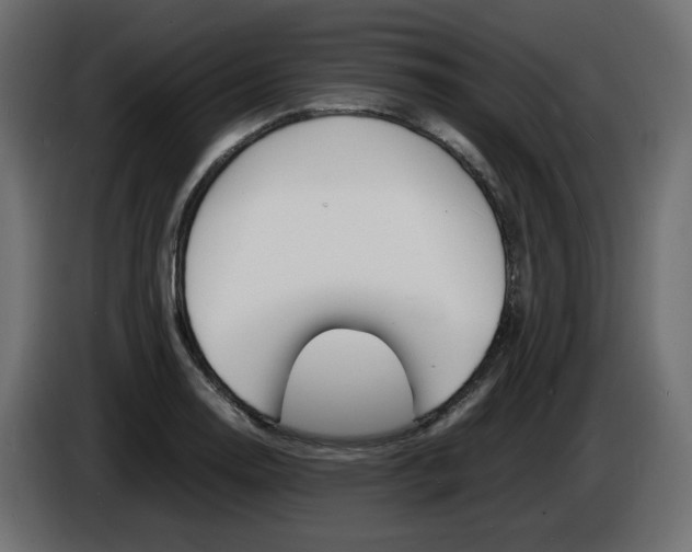 X0000086911130200704161003
