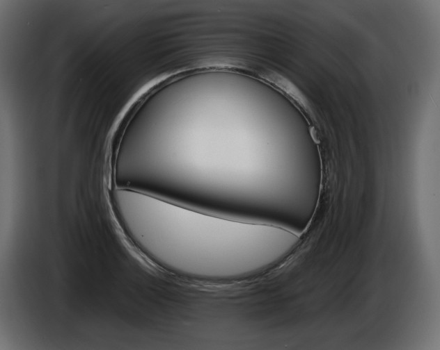 X0000086911132200704161003