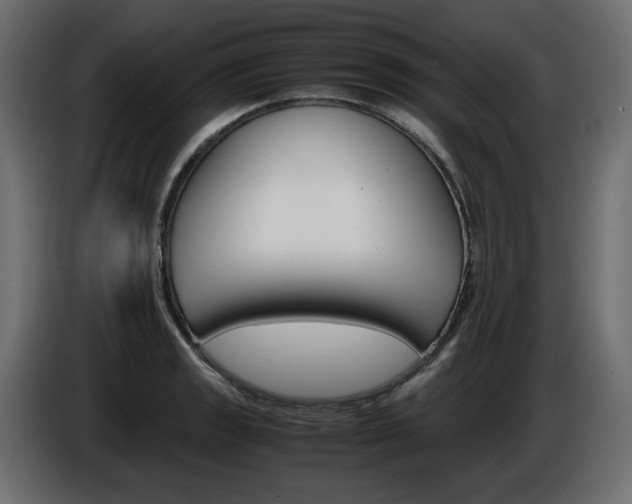 X0000086911133200704161003