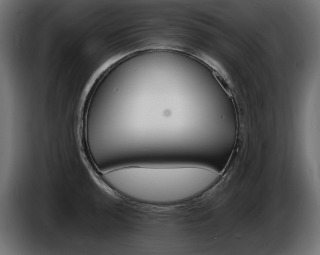 X0000086911136200704161003