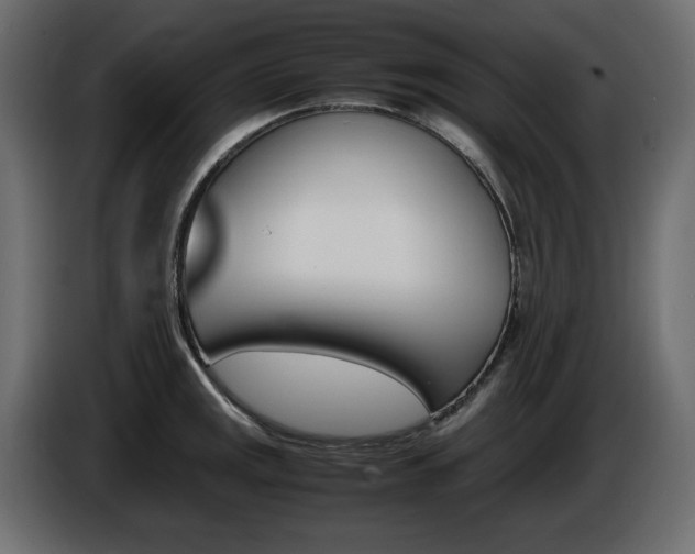 X0000086911141200704161003