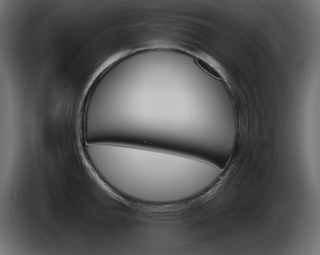 X0000086911142200704161003
