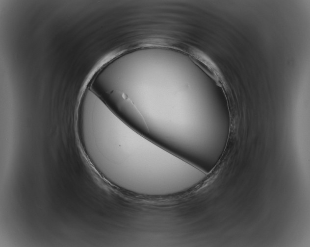 X0000086911146200704161003